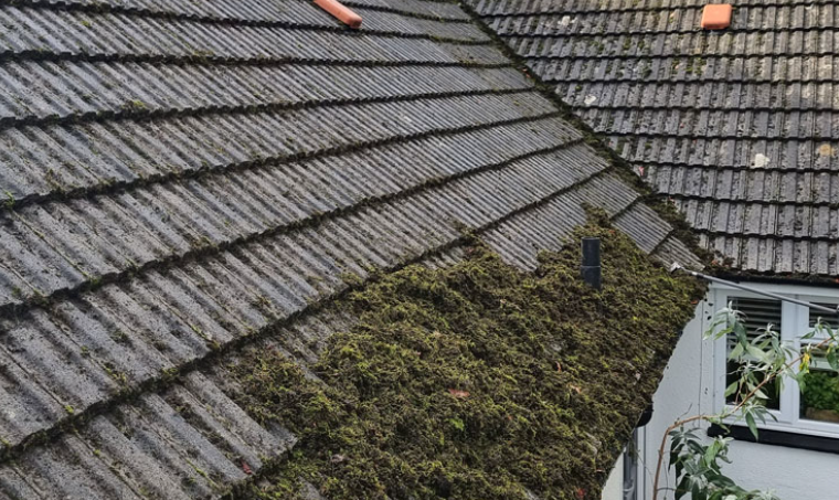 What Happens When Outdoor Surfaces Are Left Unmaintained?